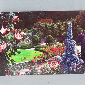 Vintage Postcard - Butchart Gardens Delphinium Time - Traveltime